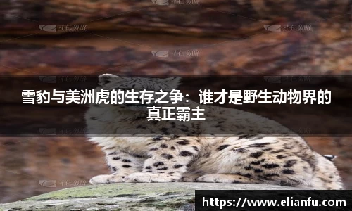 威廉希尔WilliamHill官网